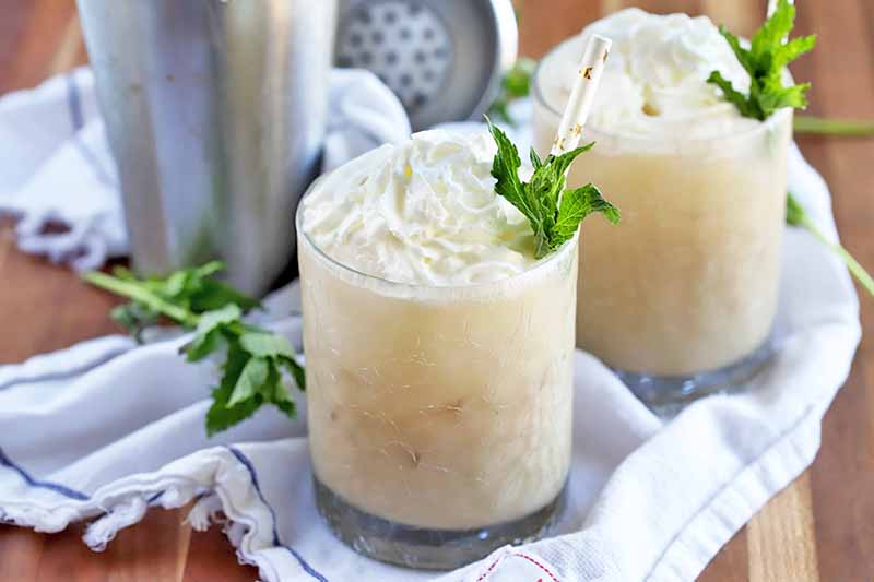 6 Best Mint Alcohol Drinks