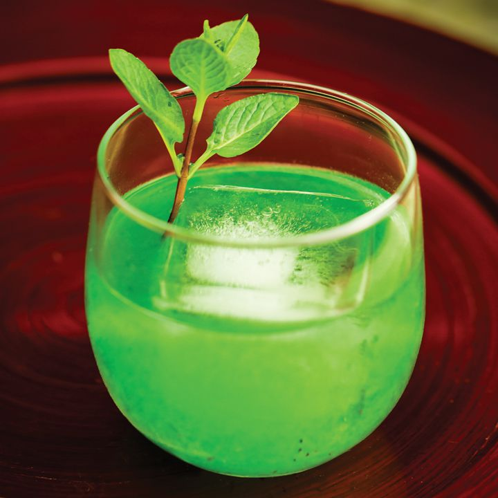 6 Best Mint Alcohol Drinks